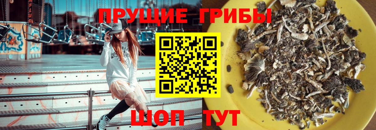 Псилоцибиновые грибы GOLDEN TEACHER  Вход с VPN  Отрадное  Галлюциногенные грибы прущие грибы 